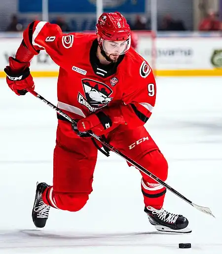 2019 Calder Cup Finals - Game 1 - Chicago Wolves at Charlotte Checkers - June 1, 2019 - Tomáš Jurčo (48039014107).jpg