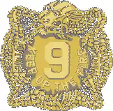 9th Infantry Regiment"Keep Up The Fire!"