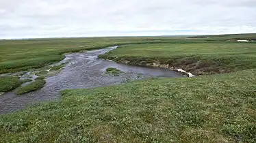 Along Sabbath Creek, a tributary of the Jago River