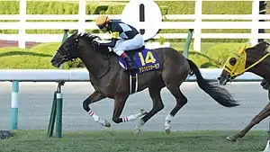 Ask Victor More (2019)