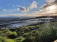 Nesting area for birds at the park.