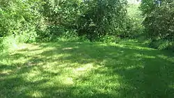 The Carl Potter Mound, a prehistoric Indian mound