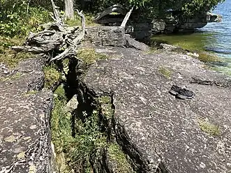 Crevice in the rock, Lynd Point vicinity