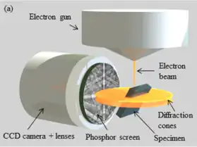Pictorial diagram showing the major components of a field emission gun scanning electron microscope. The electron gun is at the top. Below the gun is a disk of diffraction cones in which the specimen is embedded at an oblique angle. To the left of the sample is a CCD camera assembly, including lenses and a phosphor screen. The electron beam emerges from the gun, impinging on the side of the sample facing the camera.