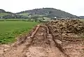 Farm track with a view of Little Doward From the Llangrove road