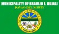 Flag of Braulio E. Dujali