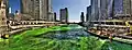 Image 29The Chicago River, Saint Patrick's Day 2009