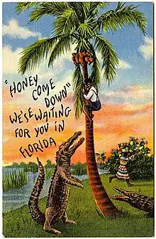 Two alligators menace a stereotyped black man clambering into a stereotyped palm tree, a woman in colorful dress runs away comically screaming; original caption: "Honey come down we are waiting for you in Florida"