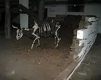 The Power of Silence, industrial space Světovar, Plzeň 2012