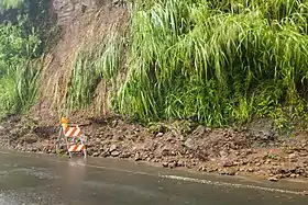 A road covered by dirt and vegetative debris from a landslide