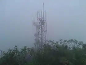 Towers atop El Yunque from Mameyes II on a cloudy day
