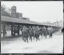 horses charge on street