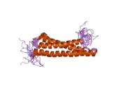 2dnx: Solution structure of RSGI RUH-063, an N-terminal domain of Syntaxin 12 from human cDNA