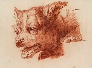 Head of a Dog (1805–06), chalk & lead, 29.5 x 35.9&nbsp;cm.