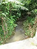 Sector Santo Domingo