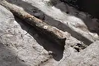 More rails can be seen sinking in the mud