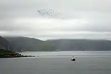 Big Koniuji Island alongside MV Tiglax