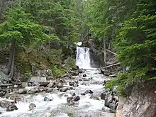 Along the road to Nakusp Hot Springs