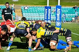 Sydney Stars scrum down