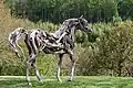 The Eden Horse by Heather Jansch, 2002