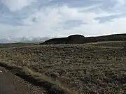 The Hill of the Whale