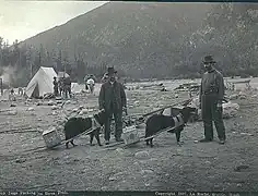 Dog-travois, Alaska 1897
