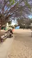 Vincent Lugo Park - 2017 Feb 13