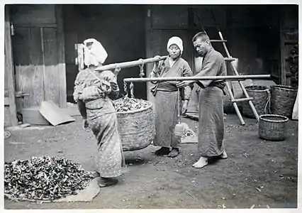 Farmworkers wearing outdoor tabi, 1912